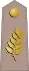 General