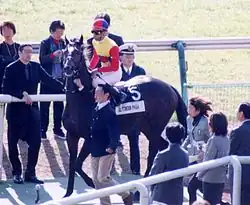 El Condor Pasa, winner the 1998 Japan Cup, at his retirement ceremony in November 1999. Some of the racecourse's staff can be seen nearby helping navigate him.