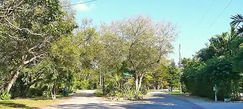 Typical street in El Portal