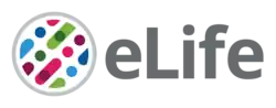 Image: 250 pixels