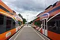 Trains in Lelle station