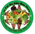 Logo of Aileu