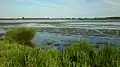 The lake is shallow and the water levels can vary by roughly one meter.
