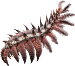The lobopod-like luolishaniids from the Cambrian and Ordovician are possibly the closest fossil relatives of tardigrades. Entothryeos reconstruction shown.[55]