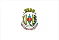 Flag of Entre-Ijuís