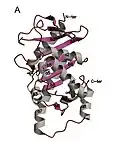 L-Ru5P monomer