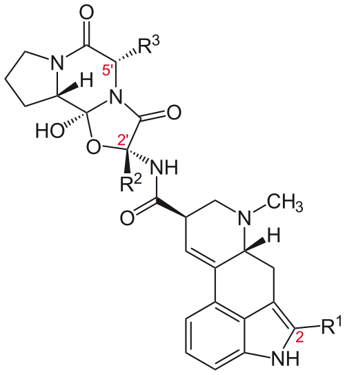 Ergopeptides (structural formula)