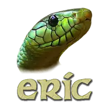 The logo of eric