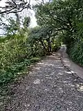 Erziping