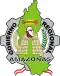 Coat of arms of Amazonas