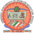 Coat of arms of Asunción Nochixtlán