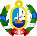 Coat of arms of Ilave