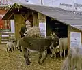 Living scene in Germany