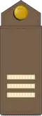 Seersant (Estonian Land Forces)[68]