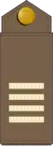 Vanemseersant (Estonian Ground Forces)[19]