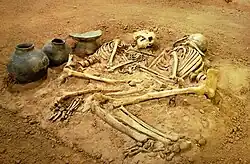 Iron Age remains