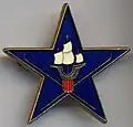 Insignia of the SES of the 43rd Alpine Infantry Regiment (1940–1942)