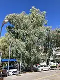 In Patra, Greece.