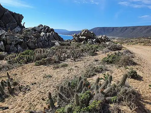 Habitat in Los Baños, Ovalle, Chile
