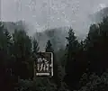 Evenings at Woods, 1999