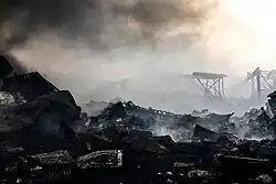 Damage caused by the fires