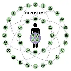 Exposome