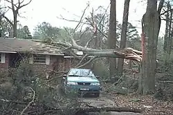 Well-built structures are typically unscathed, though sometimes sustaining broken windows, with minor damage to roofs and chimneys. Billboards and large signs can be knocked down. Trees may have large branches broken off and can be uprooted if they have shallow roots.
