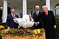 President Donald Trump pardoning a turkey called "Gobble" on November 25, 2025