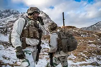 F3 ballistic helmet (27th Mountain Infantry Brigade)