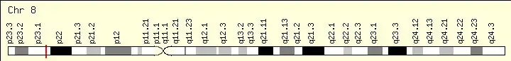 Gene Locus