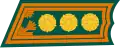 Colonel