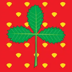 Flag of Jagodina