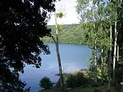The Gour of Tazenat
