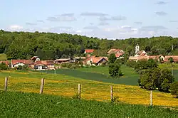 Fahy village