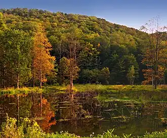 Lake