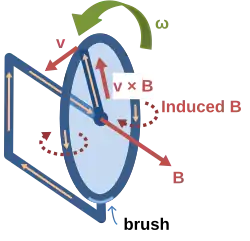Faraday's homopolar generator. The disc rotates with angular rate ω, sweeping the conducting radius circularly in the static magnetic field B (which direction is along the disk surface normal). The magnetic Lorentz force v × B drives a current along the conducting radius to the conducting rim, and from there the circuit completes through the lower brush and the axle supporting the disc. This device generates an emf and a current, although the shape of the "circuit" is constant and thus the flux through the circuit does not change with time.