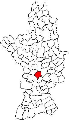 Location in Olt County