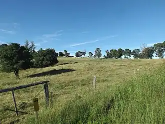 Farm along Teviotville Road, 2015