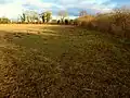 Grassland, north area