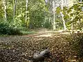 Jernbanevej in Uggeløse Forest