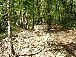 Roman road in Faverolles