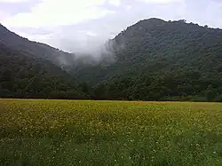 Road from Fazelabad to the highlands of the rural district