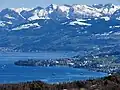 The village of Au and Au peninsula as seen from Felsenegg
