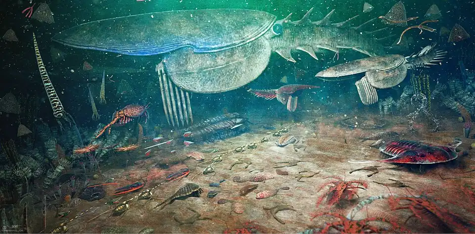 Reconstruction of the Fezouata Biota, featuring roughly 50 different species. The largest animal, Aegirocassis benmoulai (just over 2 metres in length), is depicted swimming just above the seafloor.[7]