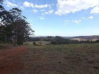 Grapetree landscape, 2014