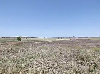 Fields along Toowoomba Cecil Plains Road, 2014