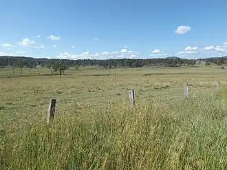 Fields, 2016
