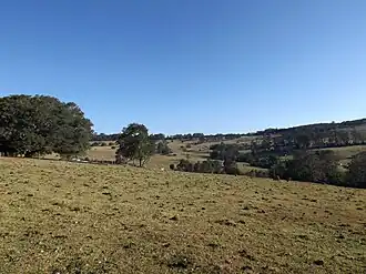 The rolling hills of Ravensbourne, 2014