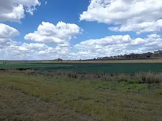 Fields at Yalangur, 2014