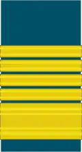 Marshal of the RAF sleeve mess insignia